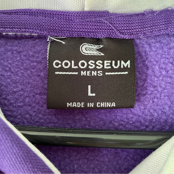 Texas Christian University Horned Frog Colosseum NCAA Hooded Sweatshirt Sz L - Picture 3 of 12